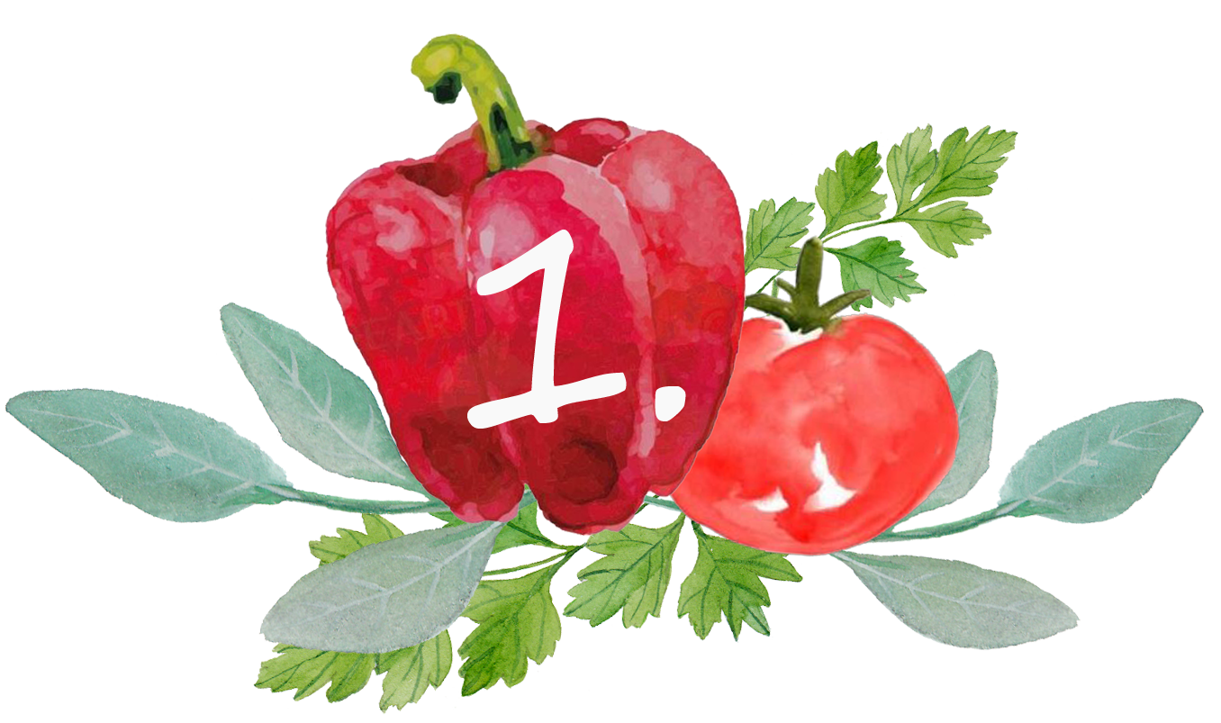 count-website_1-neu