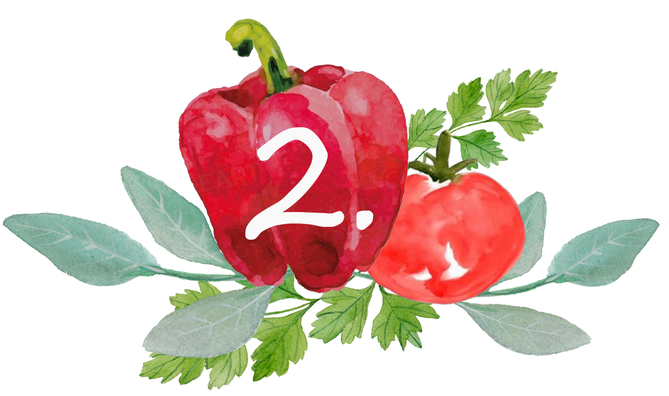 count-website_2-neu