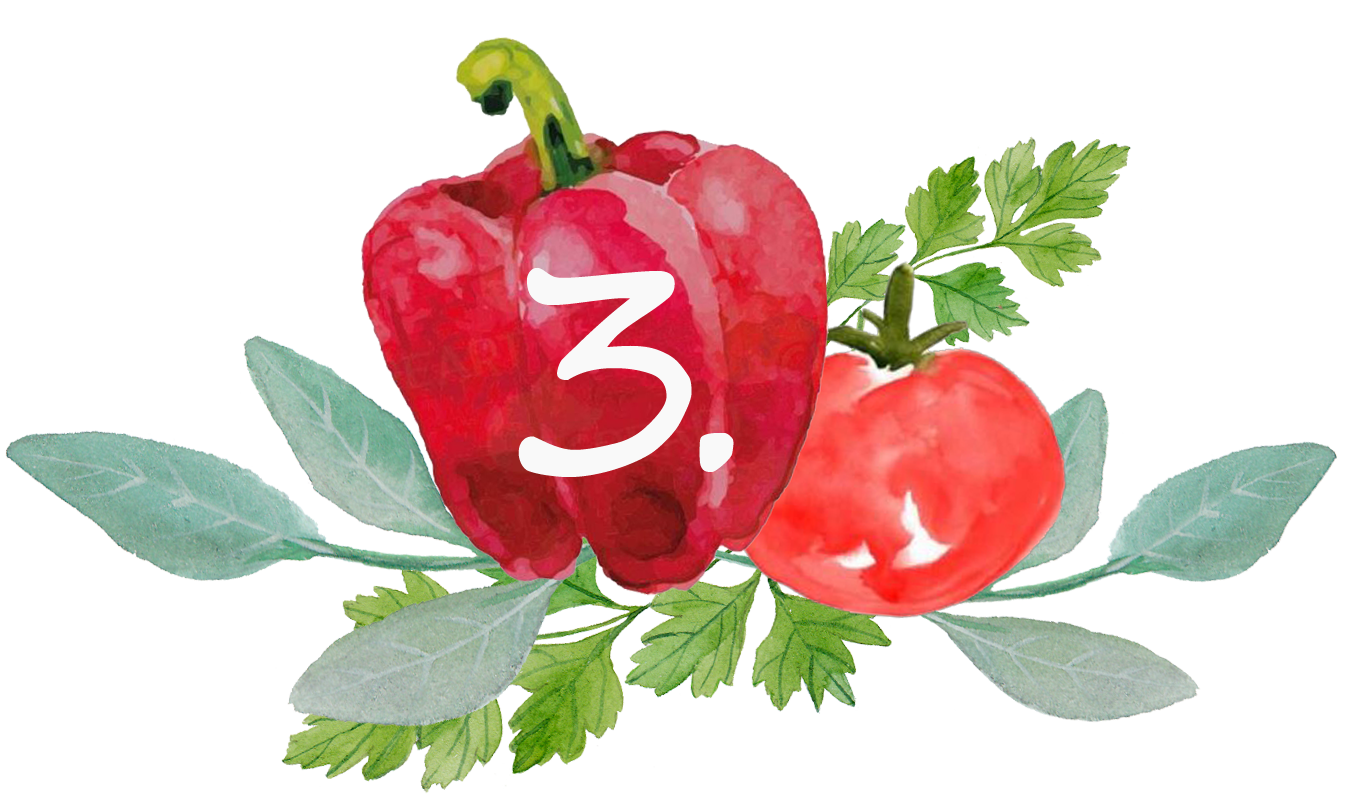 count-website_3-neu